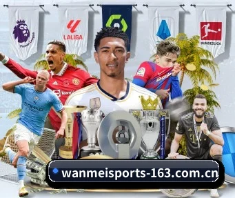 完美体育 APP(WANMEI SPORTS)